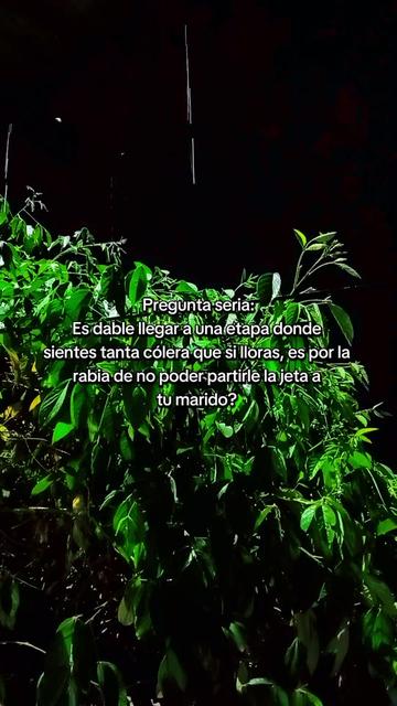 @Geemely🩷