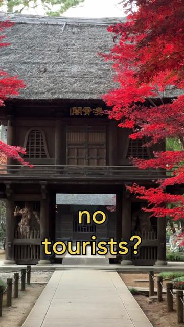 @thattravelguy