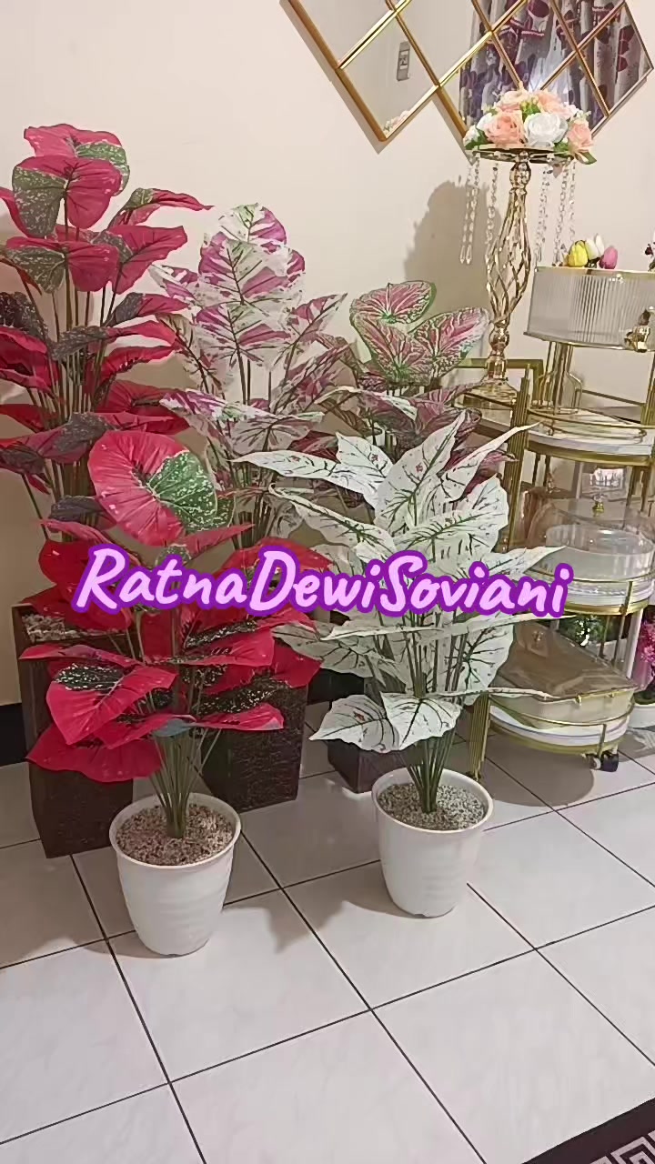 @RatnaDewiSoviani