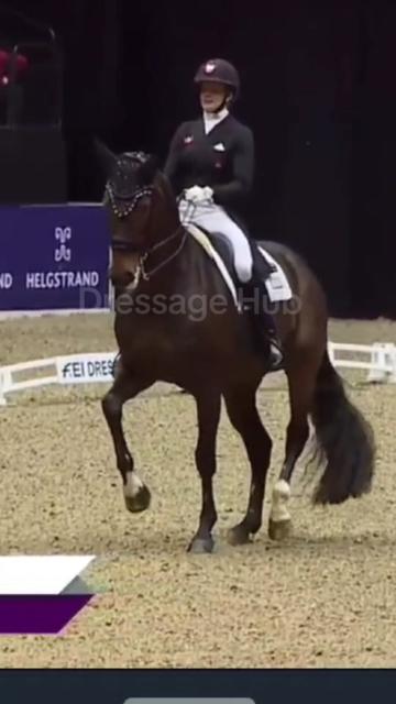 @DressageHub