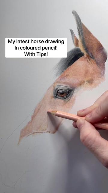 @Rachael Robinson Art