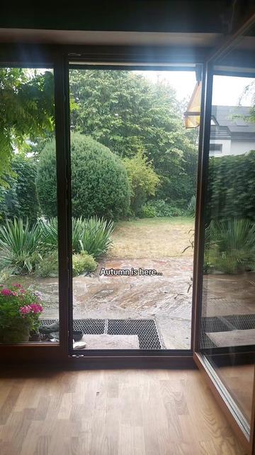 @Lost under the rain