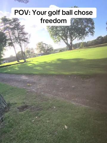 @GolfBite