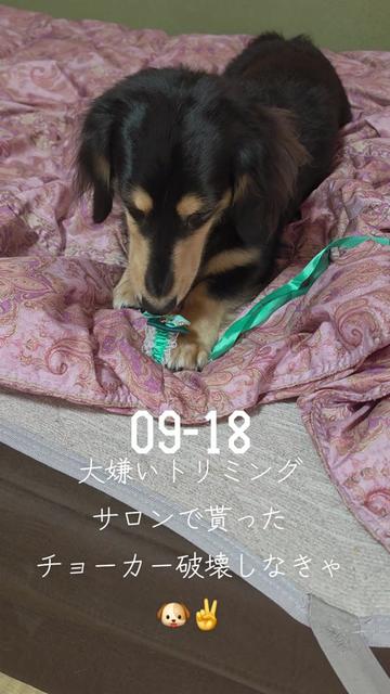 @hiro110