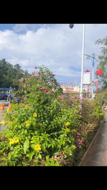 @ລານີນ້ອຍ.ມະຍຸມະຍະ