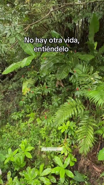 @explorago_slp