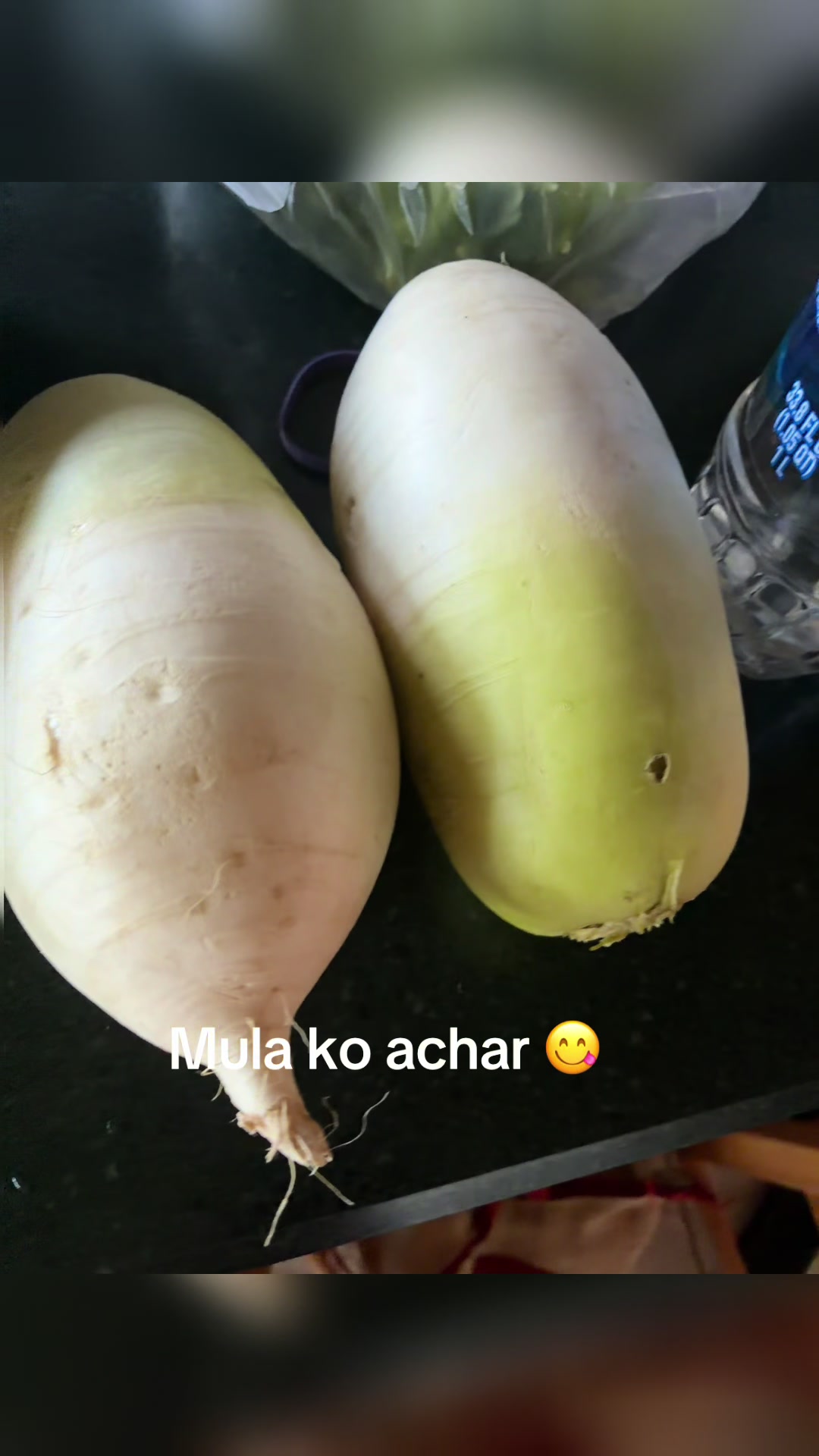 @bidhyagautam10