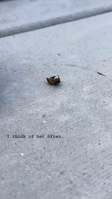 @Kristina 🌱