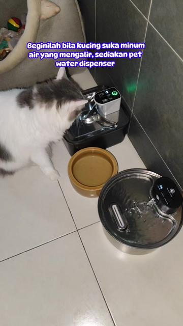 @Omma Kucing 🇲🇾🍉
