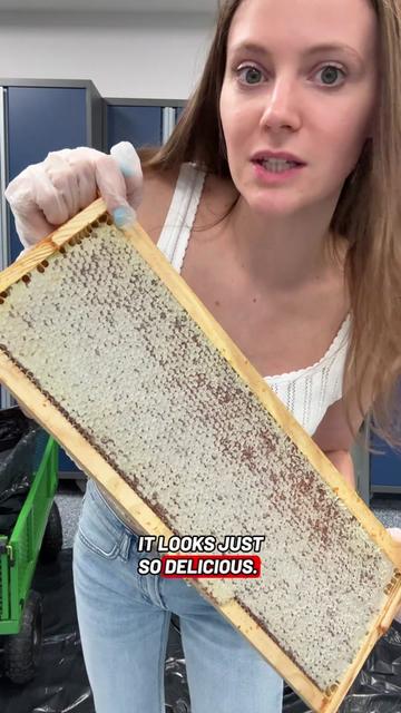 @homewithlogan