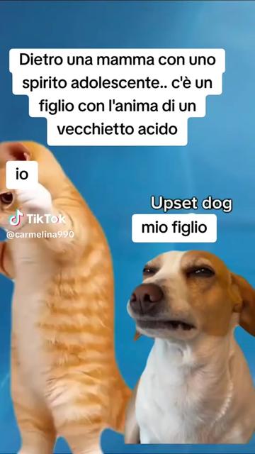 @💮🇨🇺🇮🇹