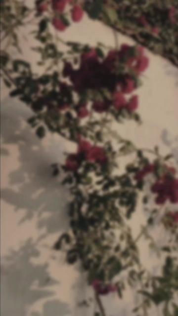 @𝐒 𝐚 𝐌 𝐢 🍂🫀