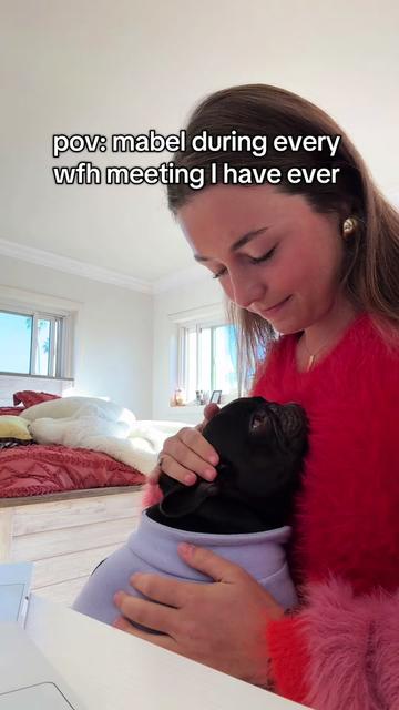 @Mabel the Frenchie