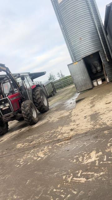 @Mulryanagri1