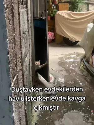 @CrazyBoy