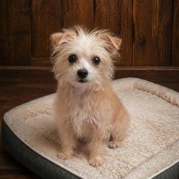 @Barking Mad Animal Refuge