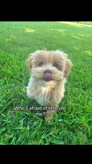 @Raquel 💕