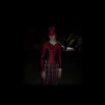 @P4L