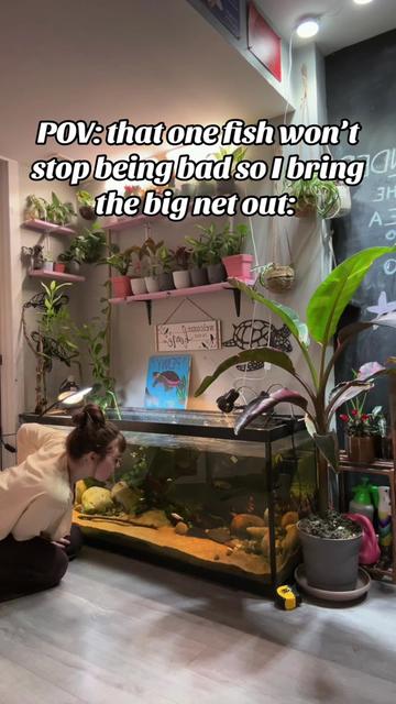 @jessunderwater
