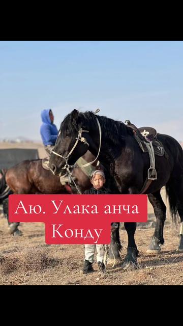 @Oskonbai Tajibaev
