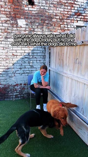 @Miracle K9 Training