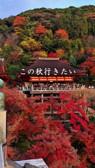 @ポポの休日🌿鹿児島&九州旅🐕
