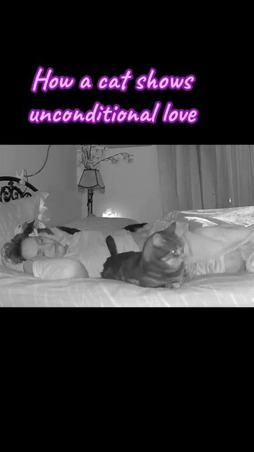 @romina.owned.by.cats