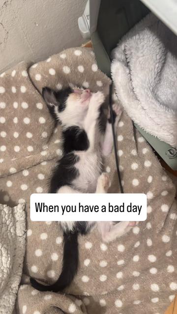 @cosanostrapurr