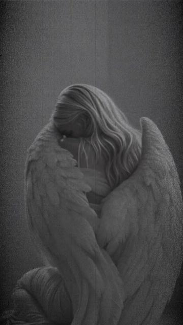 @🖤_butterfly_🖤