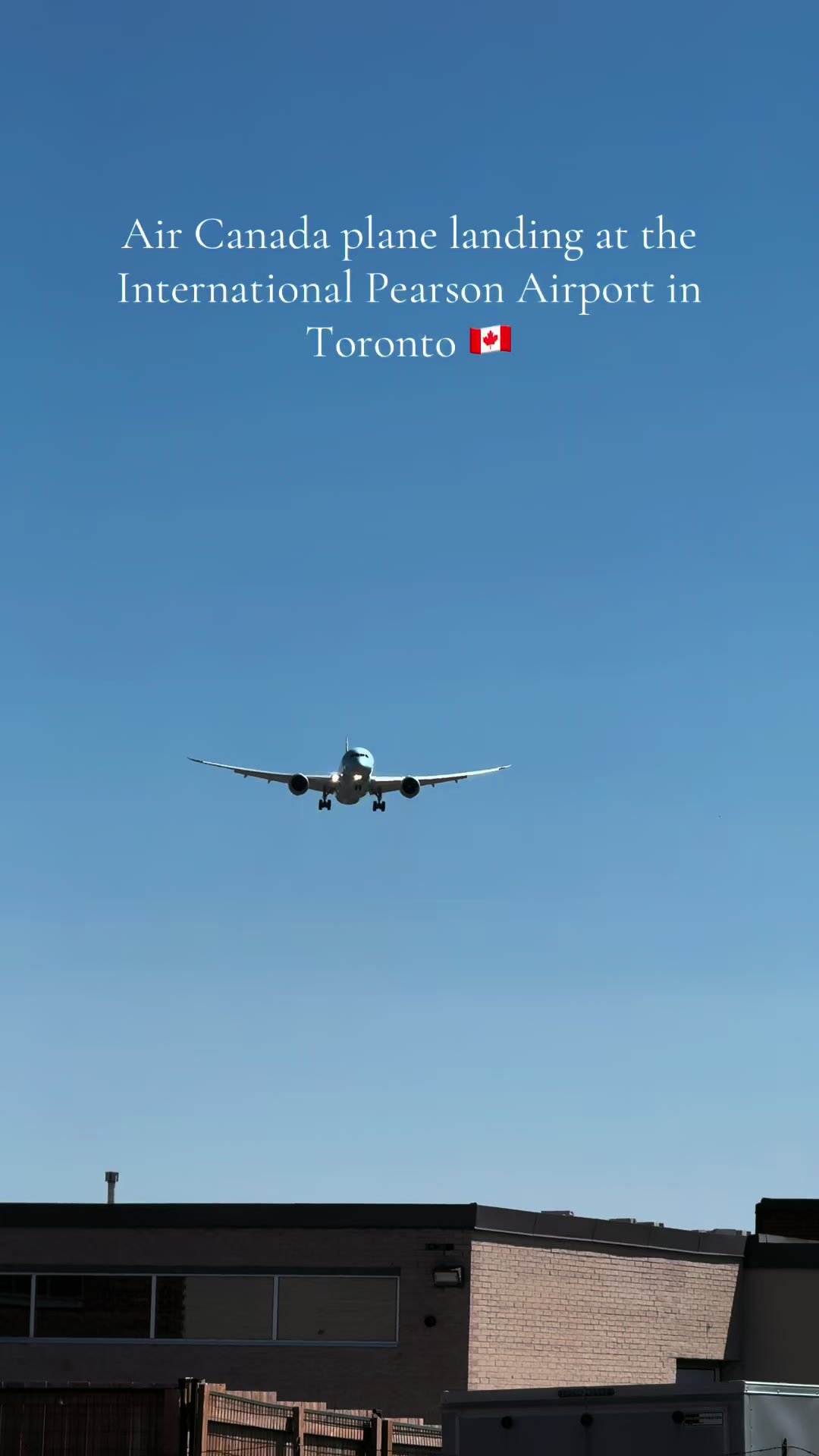 @Toronto Vibe🇨🇦