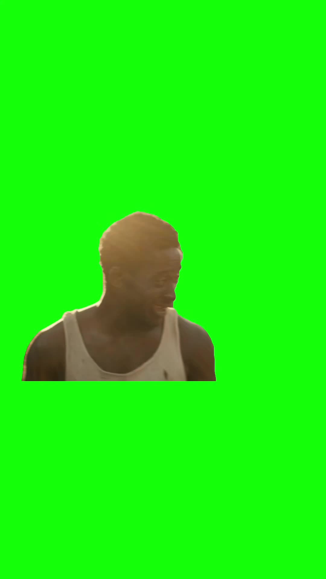 @Chief Green Screens