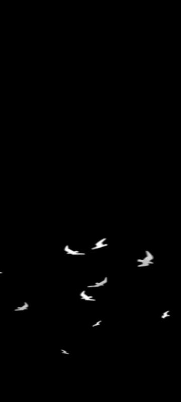 @مصمم ع الخفيف 💻