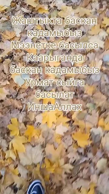 @BERMETIC