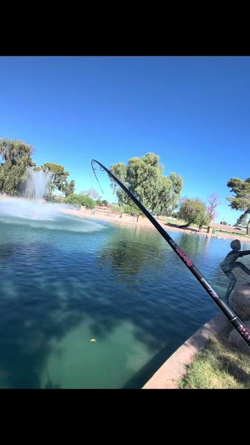 @Luu Nguyen Fishing