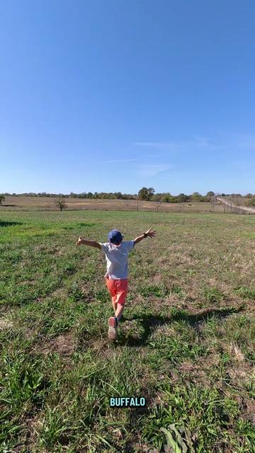 @ABC Homestead