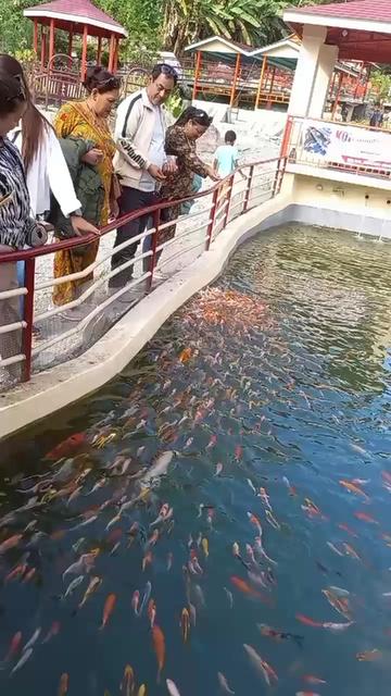@Aman Manandhar