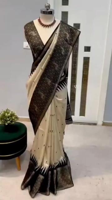 @Raanyass