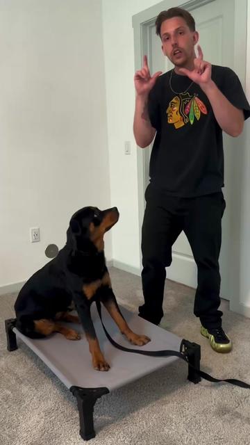 @tylerthek9trainer