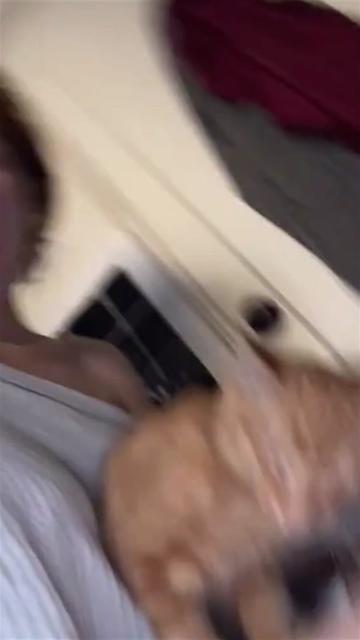 @Funny cat 520