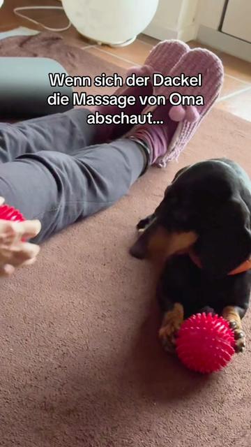 @SausagedogMaja