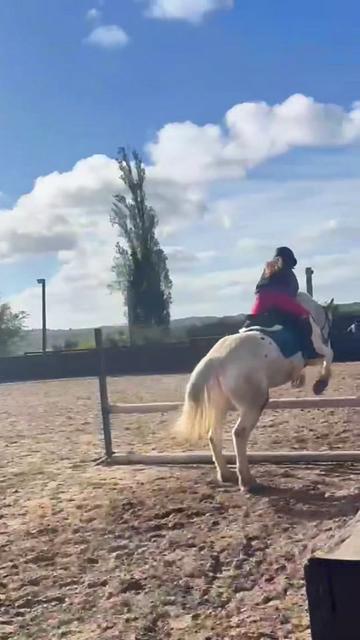 @LottiesHorseAdventures🦄🐴