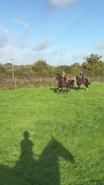 @amelia_showjumping2