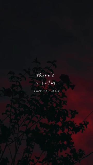 @L o v e Q u o t e s 4 U ♡