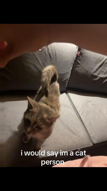 @kiki