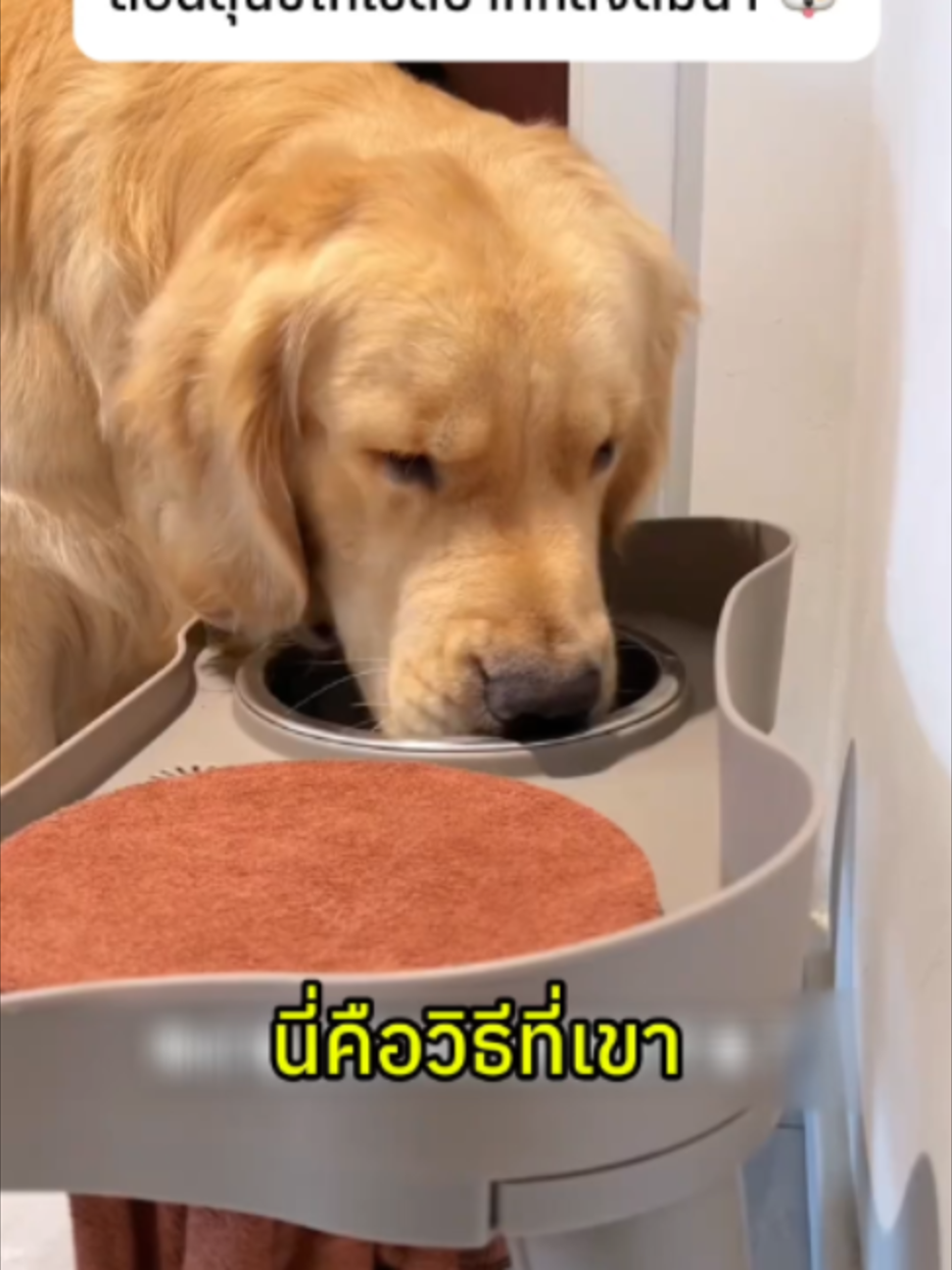 @Easy lifeHQ