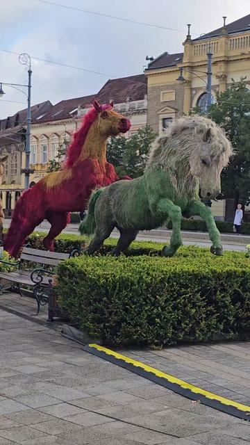 @Debrecen csodái