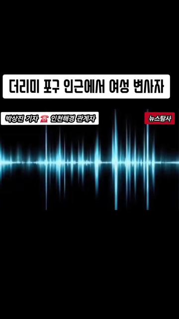 @뉴스탐사
