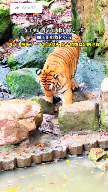 @liujiangyu