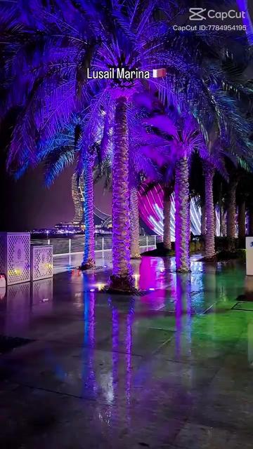 @shamim_siddiqui