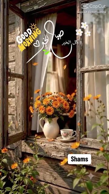 @Shams